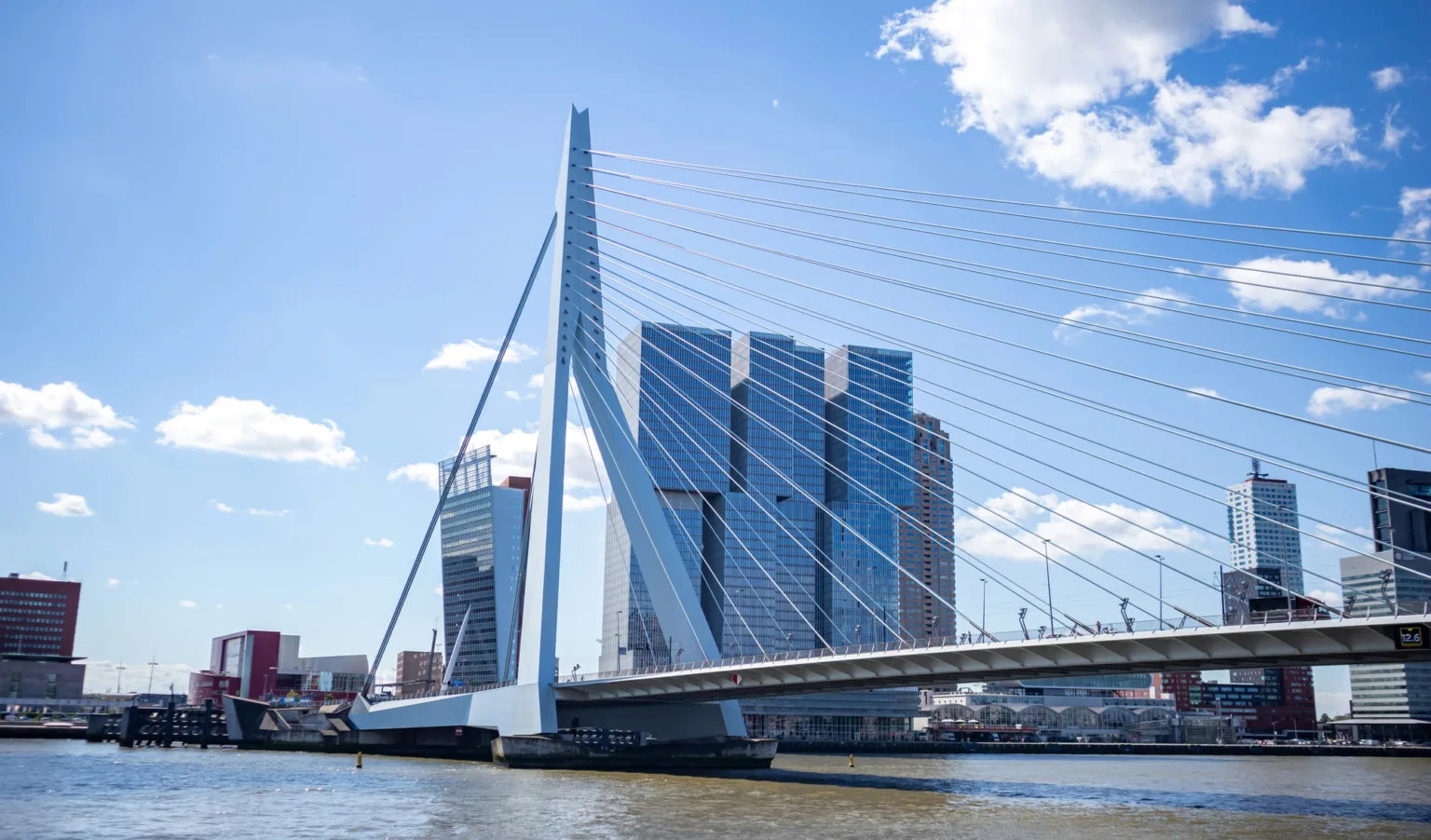 Cityscape and Erasmus bridge. Rotterdam, Netherlands.